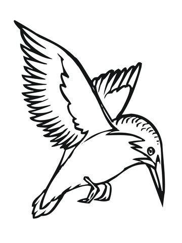 Flying Kingfisher Coloring Page